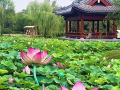 -开封市鼓楼广场(宋都皇城旅游度假区)