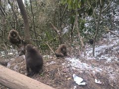 -九峰山