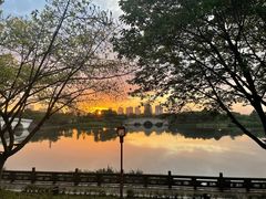 -眉山湿地公园(东坡区)