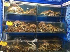 水产区-蚝专家(北滘店)