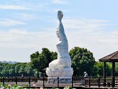 -荷塘月色湿地公园·向阳花洲