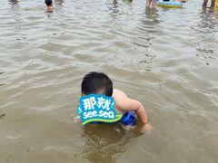 -碧海金沙