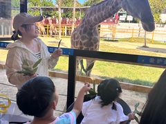 -西霞口神雕山野生动物世界