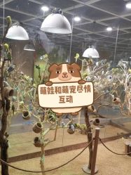 点击看大图 -七巧国萌宠乐园(龙湖天街店)