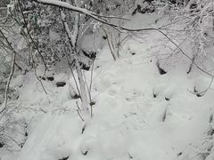 -九峰山