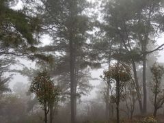 -敬亭山风景名胜区