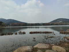 -长广溪湿地公园
