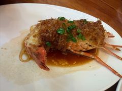 蒜蓉蒸小青龙-金地利海鲜酒楼(清凉门店)