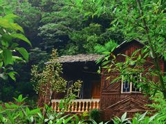 -夏霖九天银瀑风景区