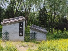 -北坞公园