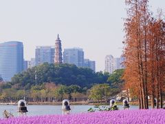 -顺峰山公园