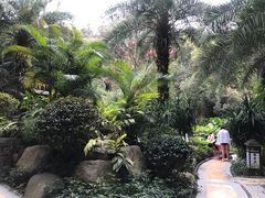 -汇雅温泉