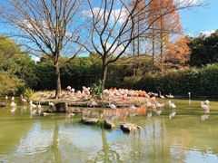 -上海野生动物园
