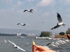 -海埂大坝