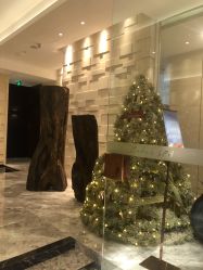 -丽妍雅集 Rubis SPA