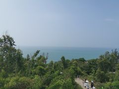 -广东惠东海龟国家级自然保护区