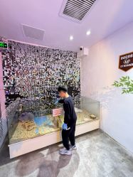 -神奇动物撸宠馆·羊驼·小浣熊·异宠(豫园店)