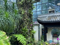 -东莞植物园