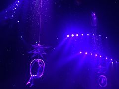 -珠海横琴长隆《卡卡虎奇遇记》