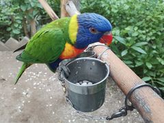 -南宫五洲植物乐园