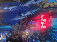 -烟台海昌鲸鲨海洋公园