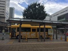 -三鹰之森吉卜力美术馆