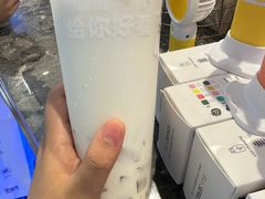 -TD66高山铁皮石斛养生茶饮