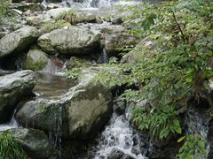 -藏龙百瀑风景区