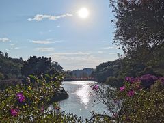 -南国桃园旅游度假区