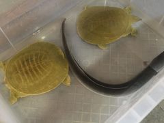 -廣味潮鲜·一品潮滋味(五道口店)