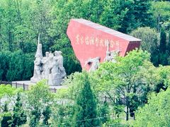 -贵州百里杜鹃风景名胜区
