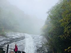 -青峰峡国家森林公园