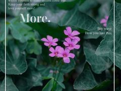 -上海佘山国家森林公园天马山园