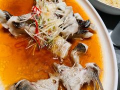 清蒸长寿鱼-东莱海上(长宁来福士店)