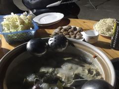 -16年老字号鑫鑫猪肚鸡·椰子鸡海南火锅(兴隆华侨农场店)
