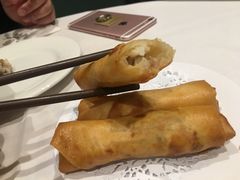 -食为先(Shark Fin)