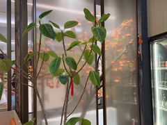 -东门口·新式老北京火锅(河西龙湖天街店)