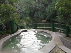 -鱼凫国都大酒店温泉