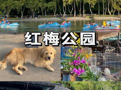 -兔爸私家小厨(新北万达店)