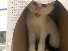-嘉馨宠物医院·CT影像转诊·心脏科·犬猫全科诊疗中心(下沙大学城院区)