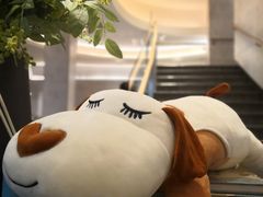 -必胜客(会展店)