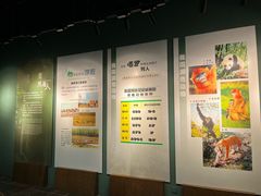 -温州博物馆