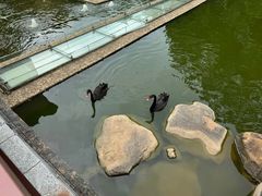 -南宁荔园维景国际酒店·荔园中餐厅