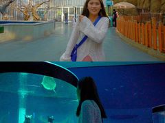 -前王院•巧克力海鲜市集餐厅(万平口店)