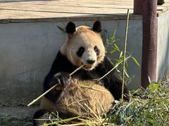 -杭州野生动物世界