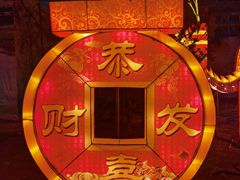 -南宫五洲植物乐园