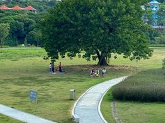 -风云岭森林公园