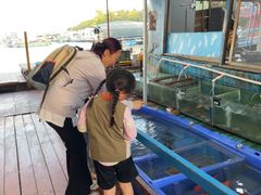 -蓝湾碧波·老字号·疍家非遗海上餐厅