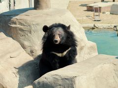 -石家庄市动物园