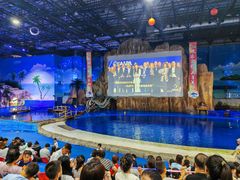 -华夏文旅海洋公园